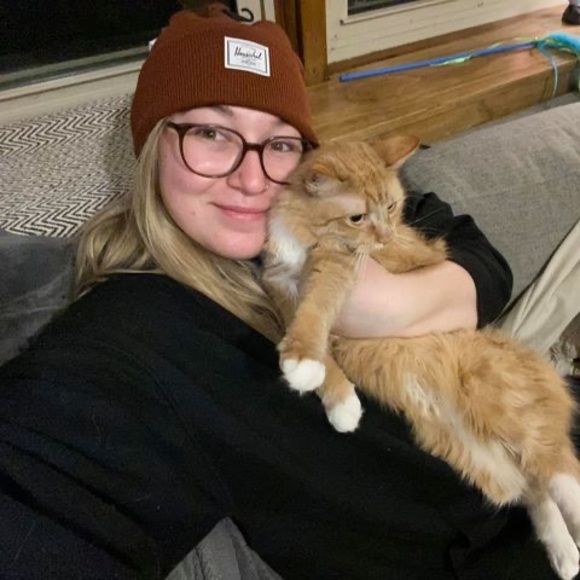 Meet your Posher, Kenzie - Picture 1 of 1